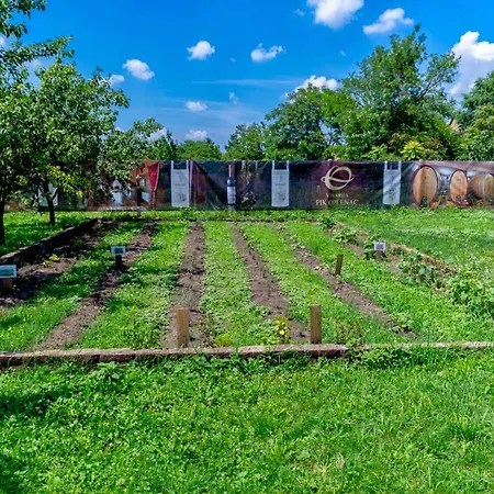 Country house Dorf Ethno House Ravno Selo